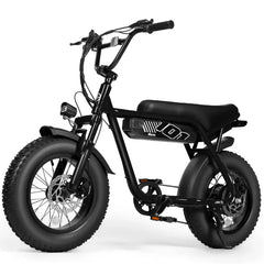 V101 Ebike