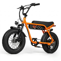 V101 Ebike