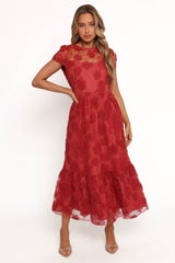Elegant Dress