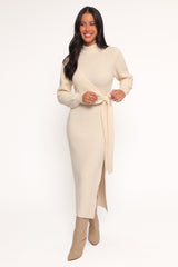 Elegant Dress