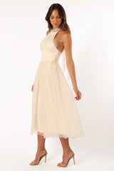 Elegant Dress