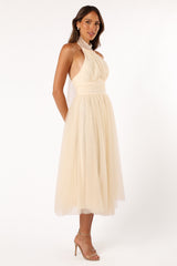Elegant Dress