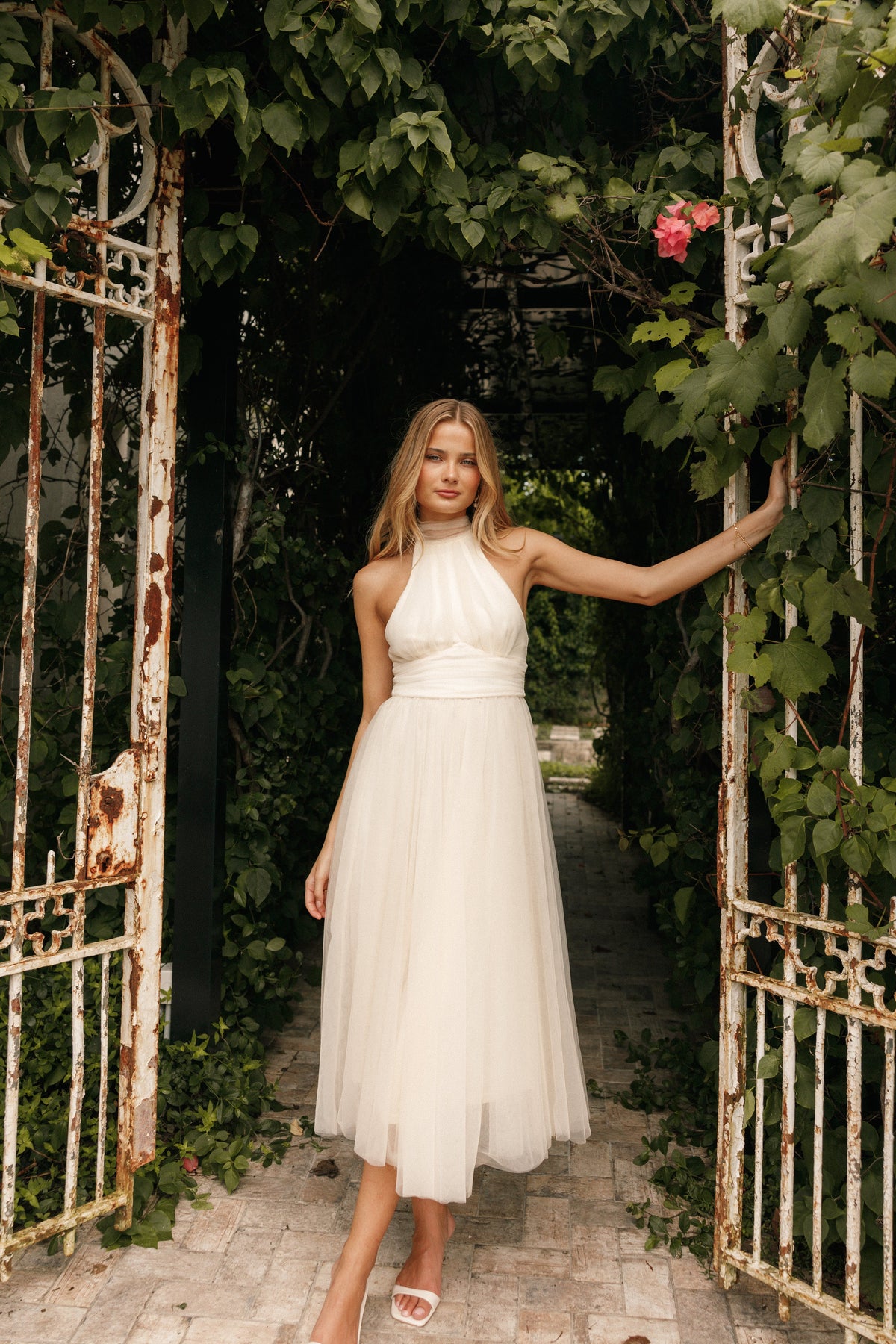 Elegant Dress