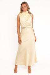 Elegant Dress