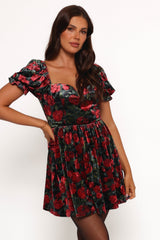 Elegant Dress