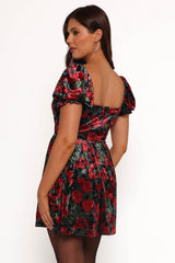 Elegant Dress